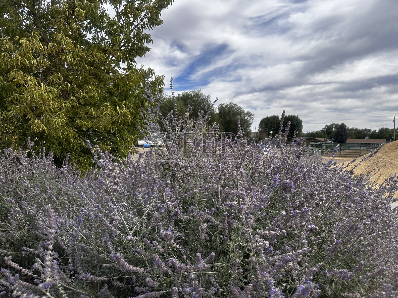 网关照片摄影图片
