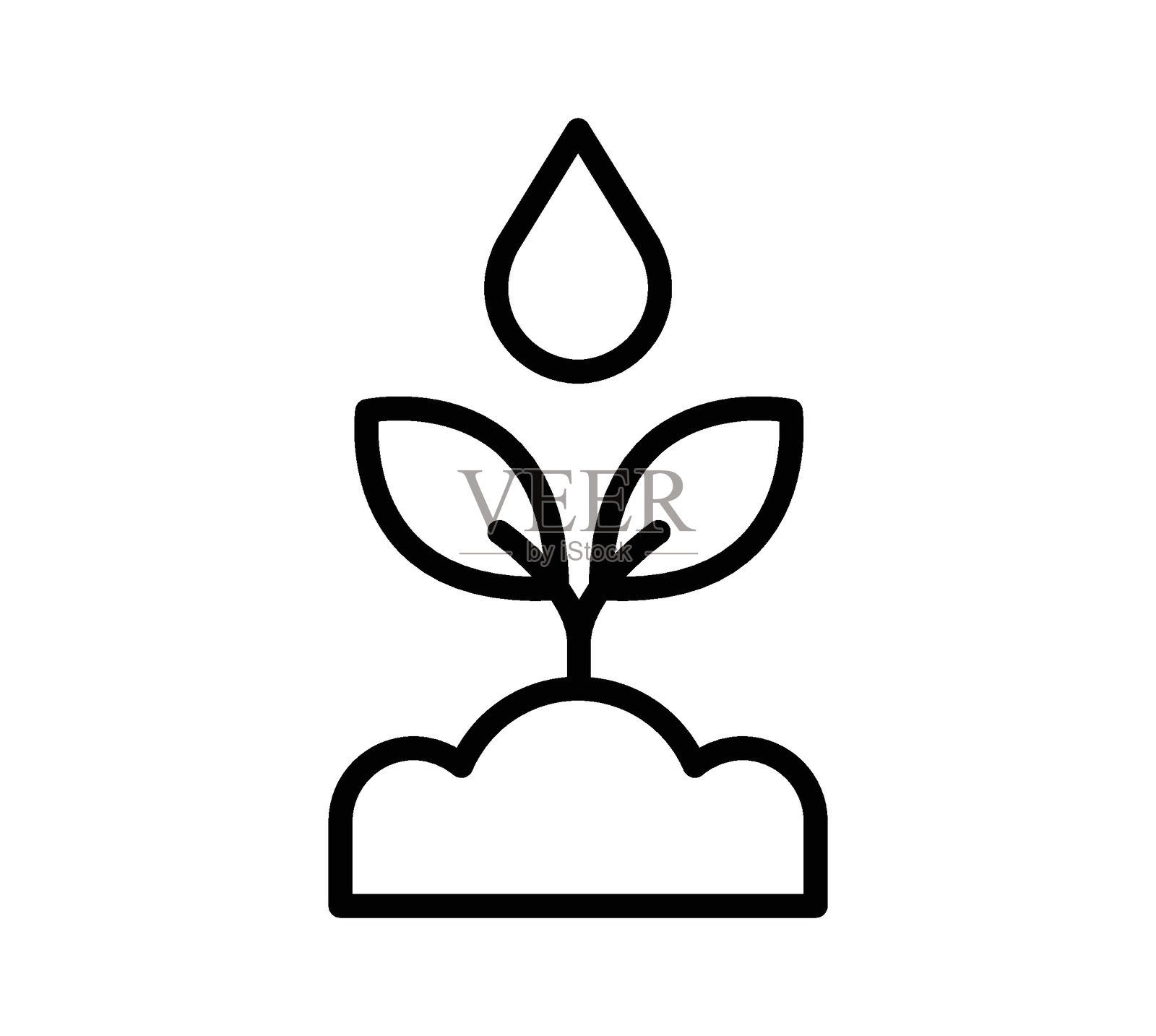 简约的植物插画,水滴象征成长插画图片素材