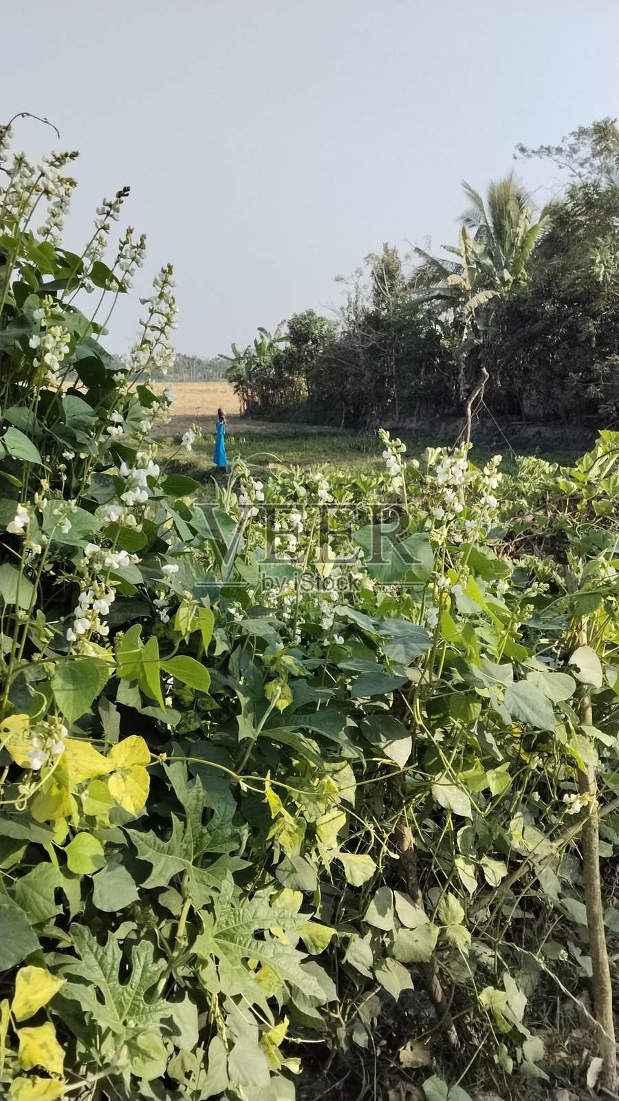 好地方照片摄影图片