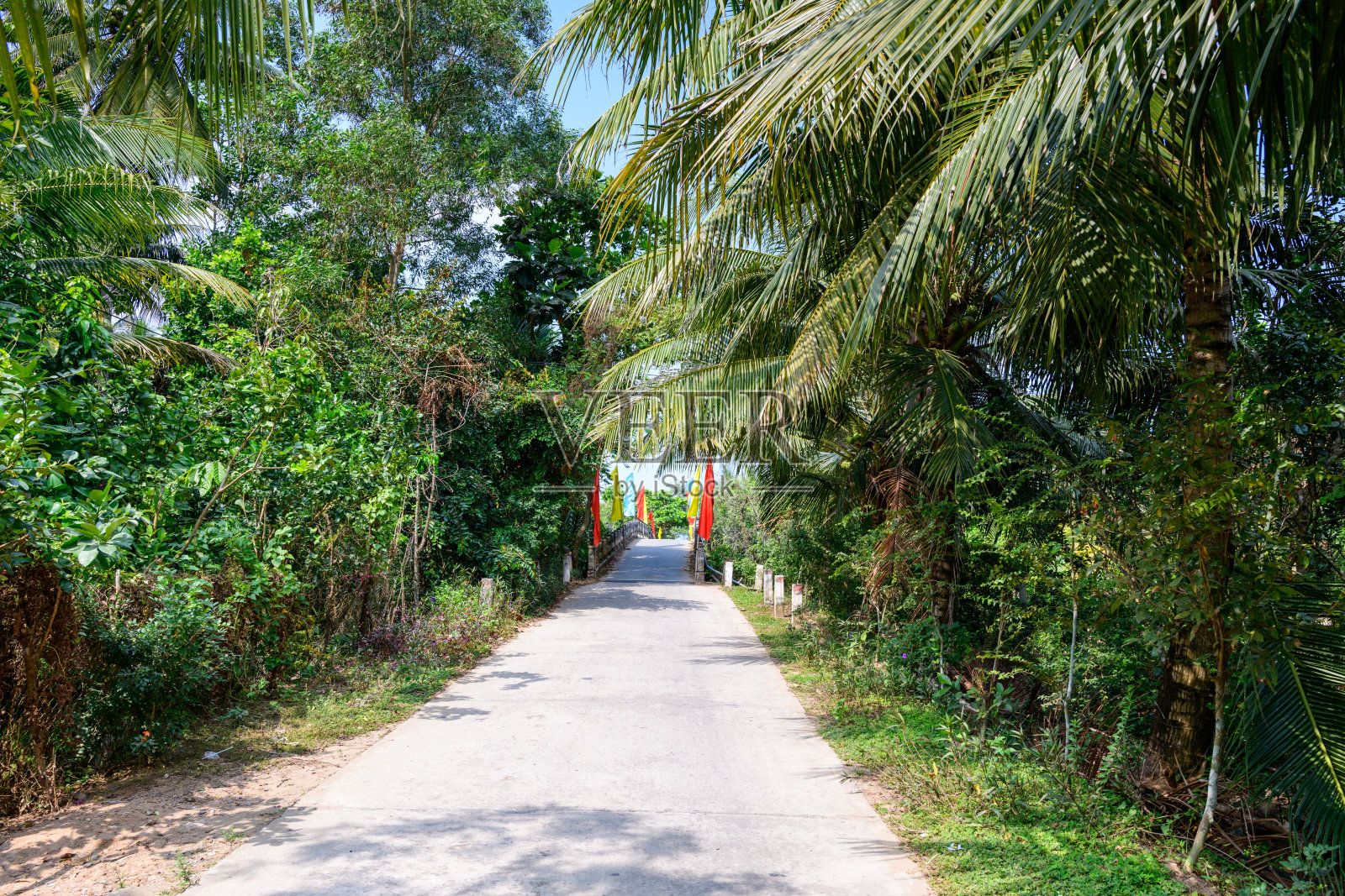 湄公河三角洲的热带桥梁,挂着红旗照片摄影图片