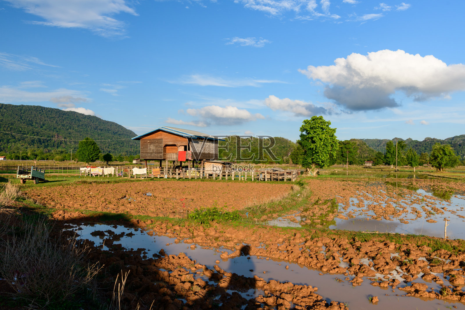 水淹稻田旁的木制高脚屋照片摄影图片