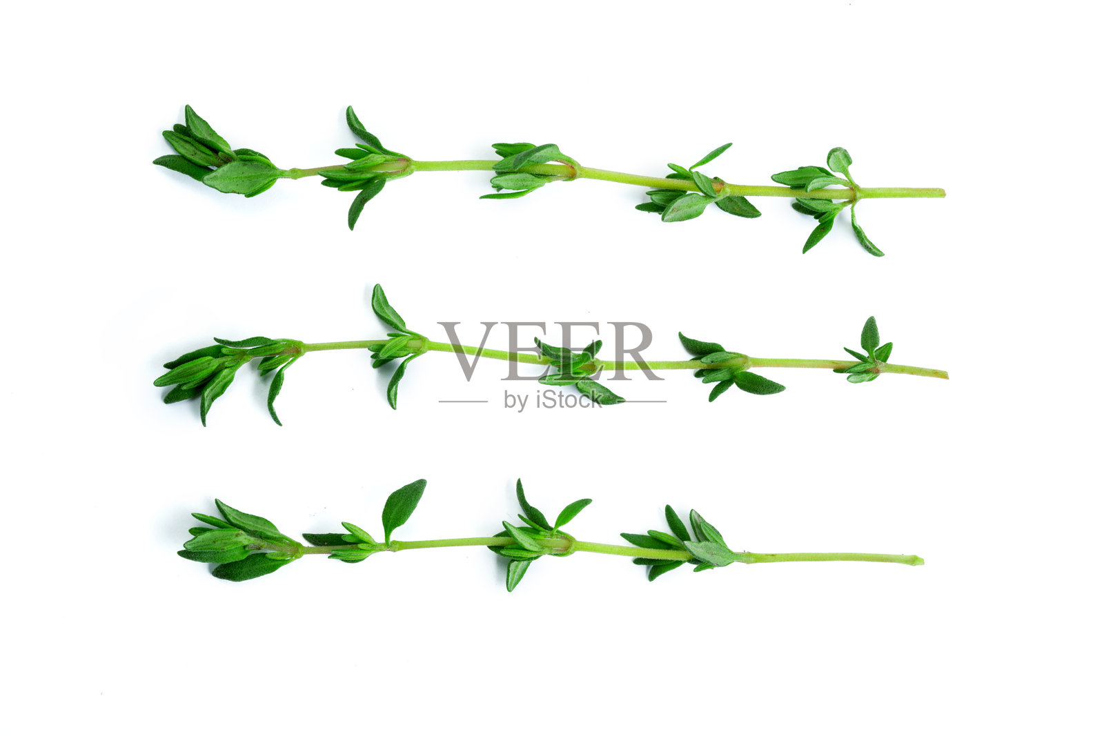 新鲜香草整齐地摆放在白色背景上,供烹饪和装饰使用照片摄影图片