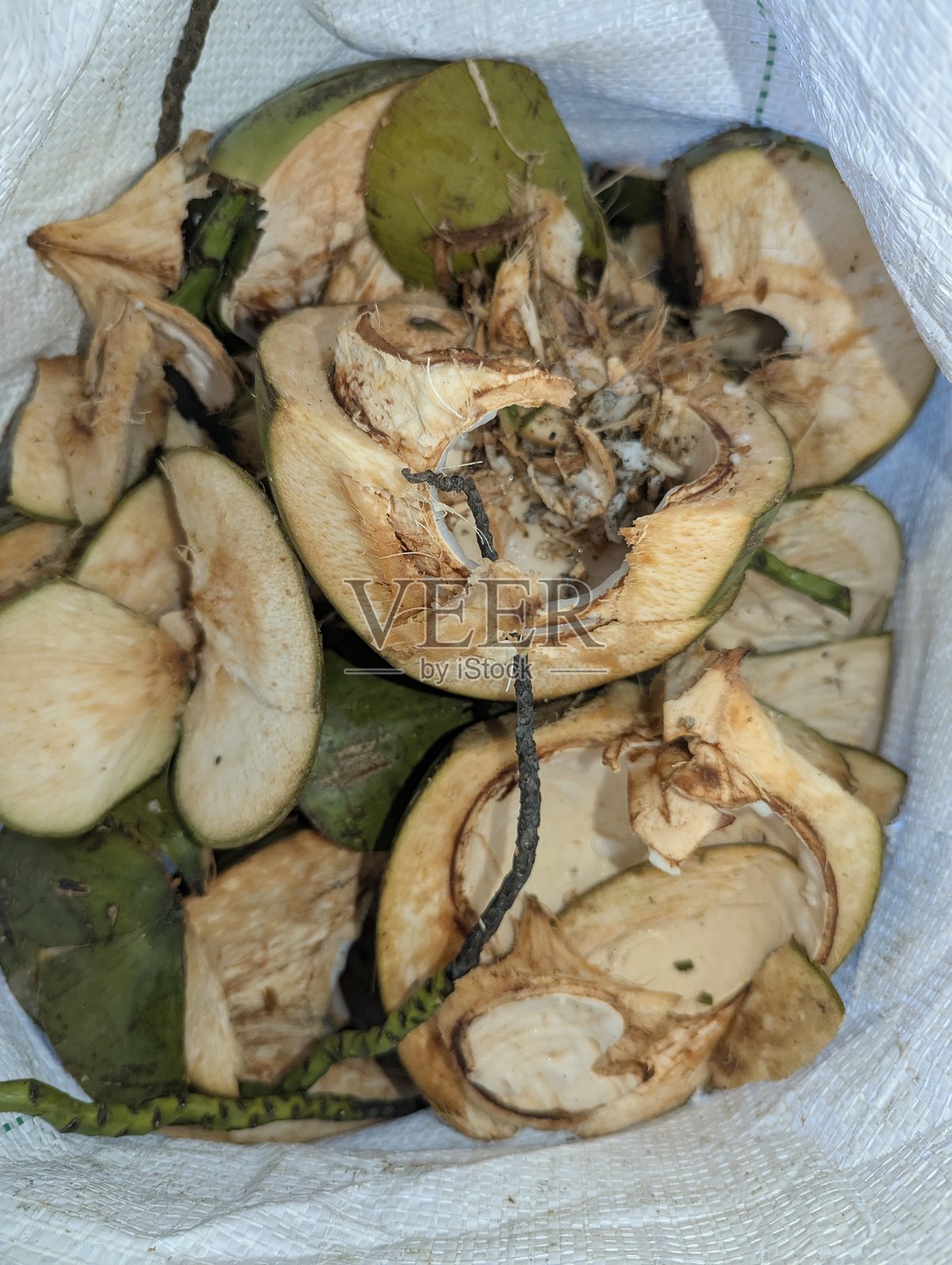 椰子堆照片摄影图片