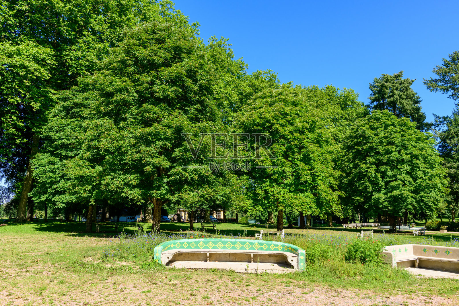 郁郁葱葱的夏日公园里的装饰长椅照片摄影图片
