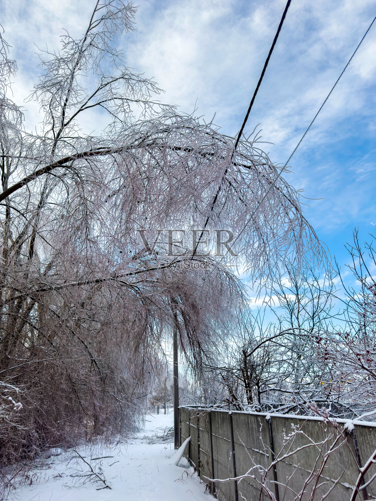 冰雹风暴导致电力线故障,树枝掉落压在电线上。照片摄影图片