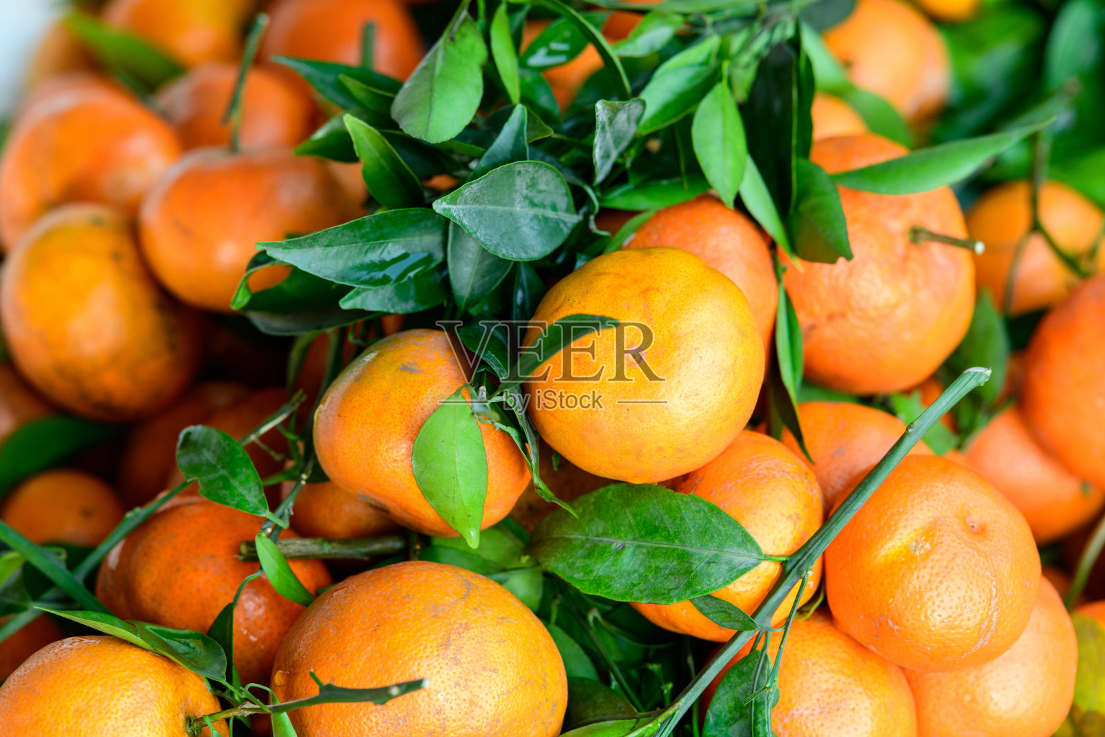 越南槟椥市场新鲜的橘子和绿叶照片摄影图片