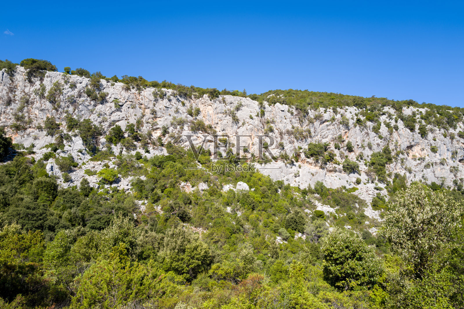 生长着茂密地中海植被的石灰岩悬崖照片摄影图片