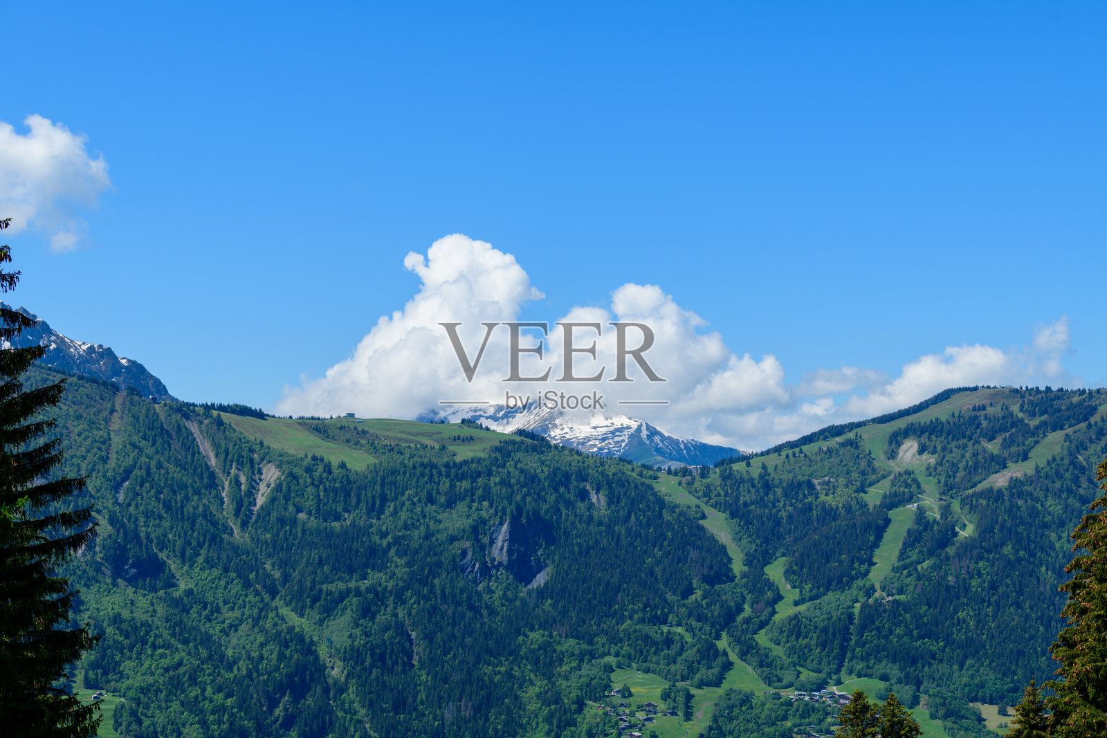 绿色的森林山坡上方是白雪皑皑的高山之巅照片摄影图片