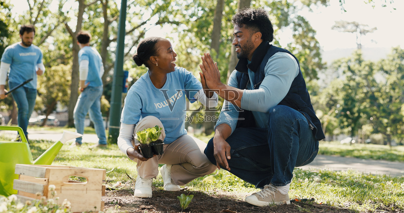 人们在户外高举手,象征着社区服务在园艺方面的成功,并与植物互动。男女脸上洋溢着笑容,展现了团队合作精神,以庆祝地球日、重新造林和可持续项目。照片摄影图片