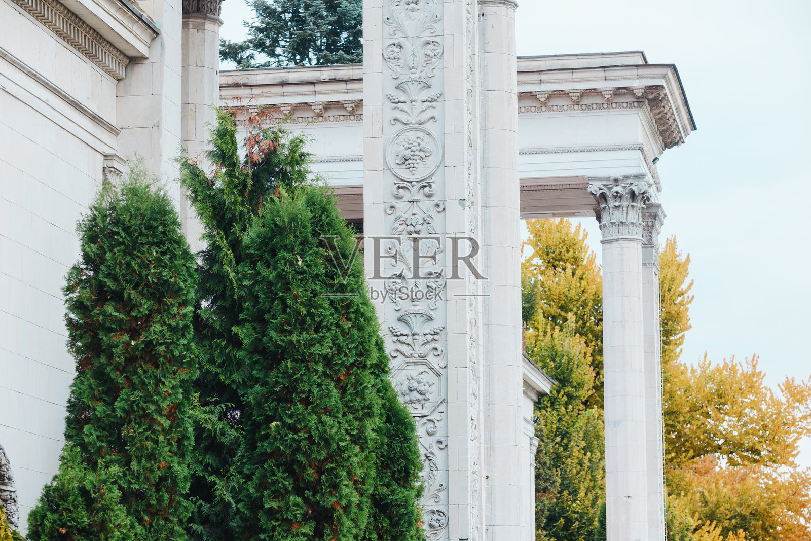 高大的绿树伫立在华丽的白色古典建筑柱廊外景前照片摄影图片