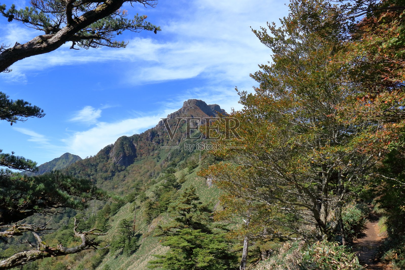 石鎚山,秋季登山步道漫步(爱媛县,土小屋路线)照片摄影图片