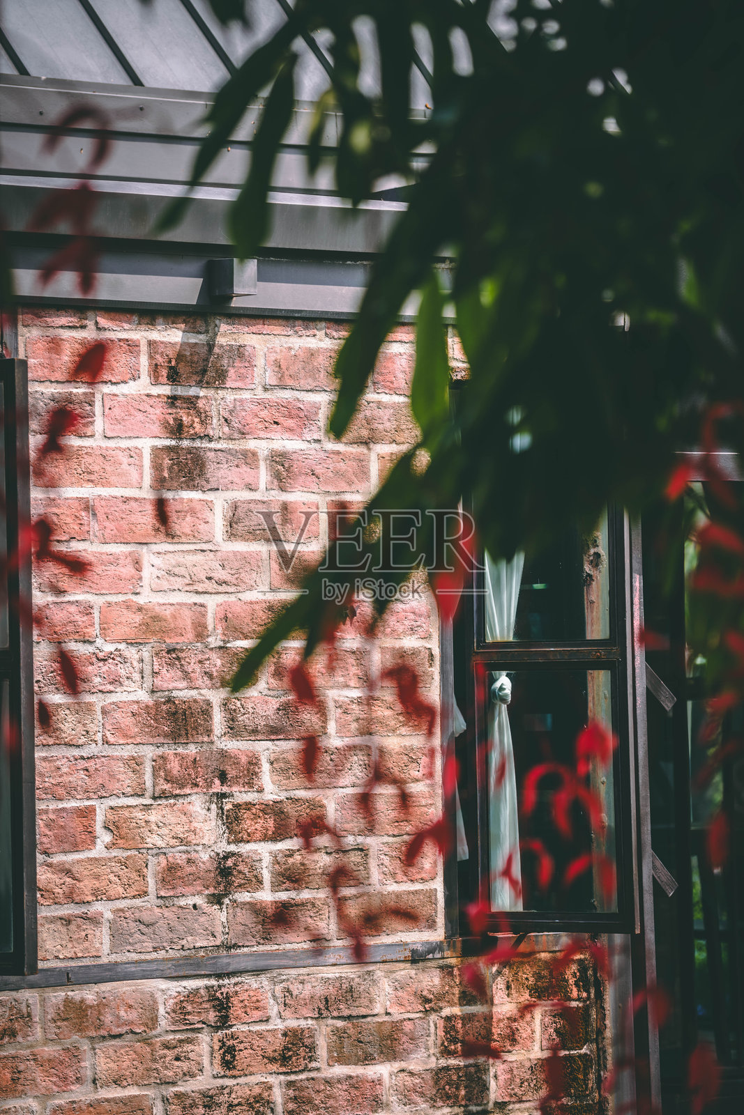 带有黑色窗框的乡村红砖墙,前景是红叶照片摄影图片