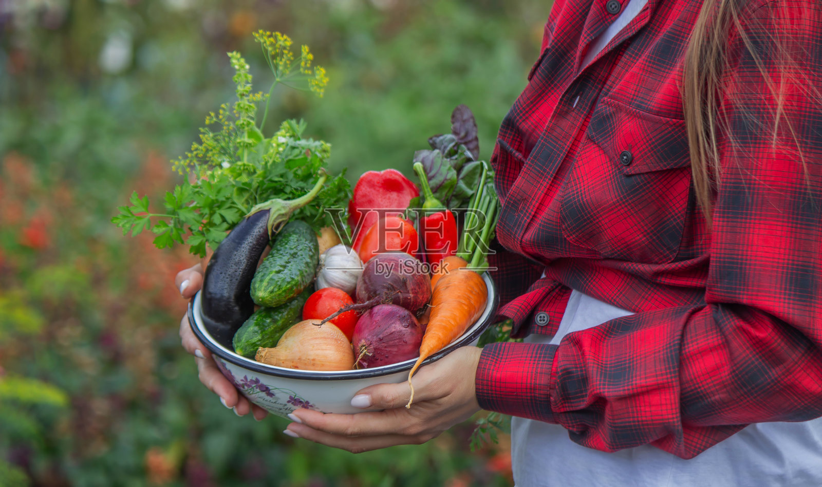 农民拿着一碗新鲜有机蔬菜,丰收季概念照片摄影图片