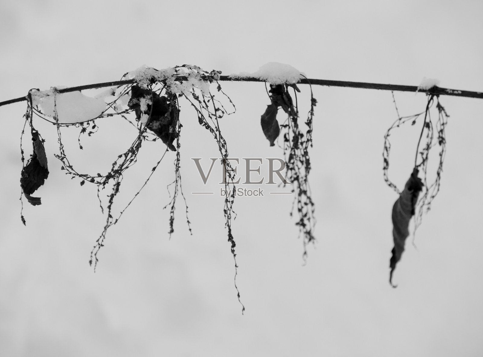 冬季的长椅照片摄影图片