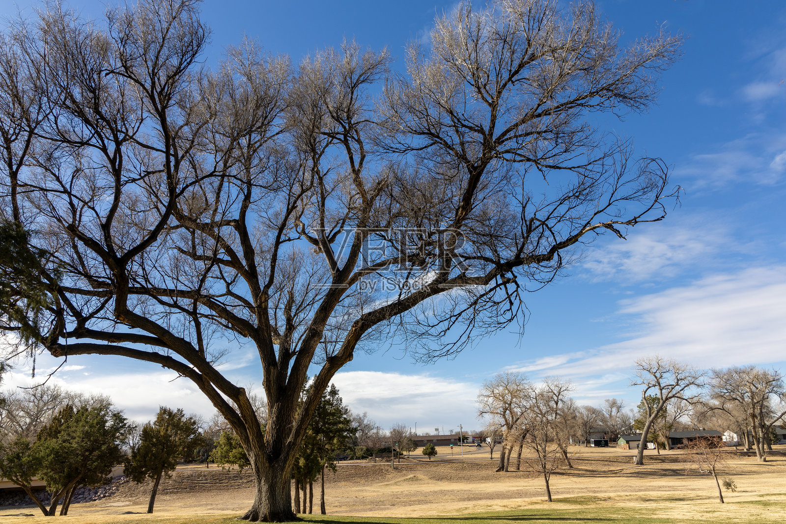 科罗拉多州拉马尔的柳溪公园照片摄影图片
