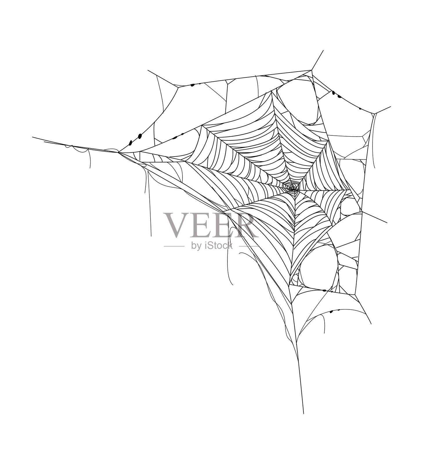 卡通万圣节蜘蛛网纹理插画图片素材