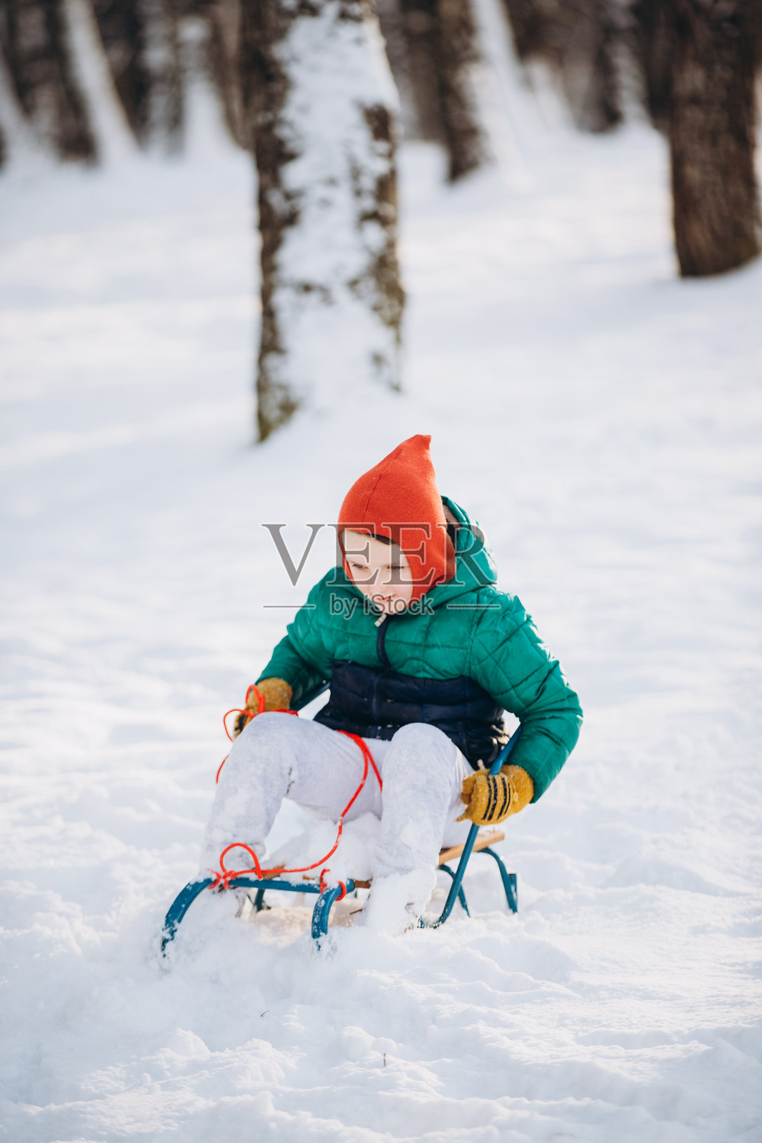 男孩在冬季公园的雪地里玩雪橇照片摄影图片