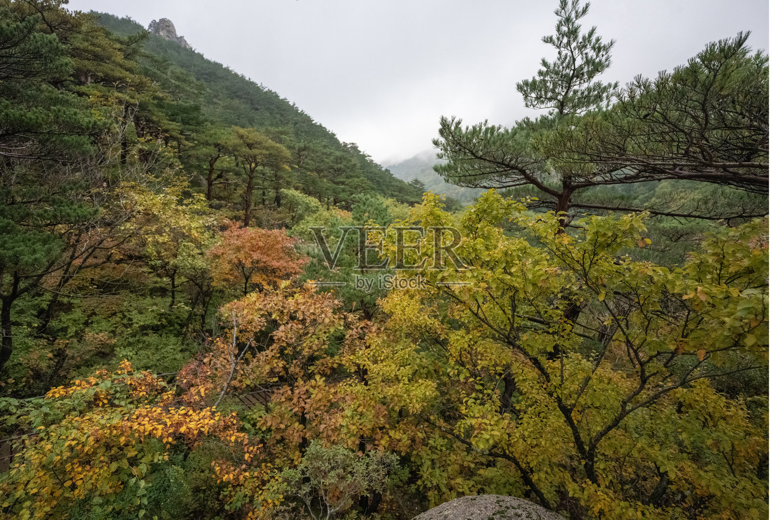 公园里的秋日色彩照片摄影图片