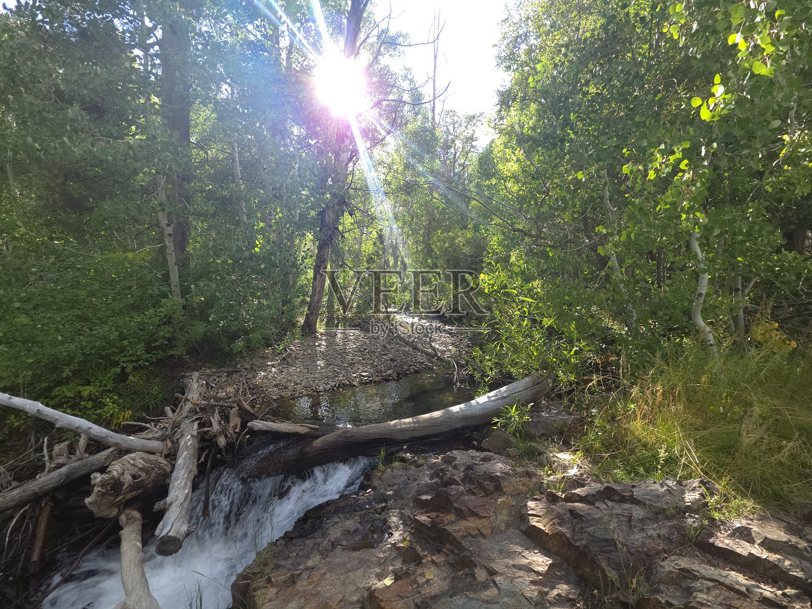 滝の小川、森、自然、東シエラ照片摄影图片