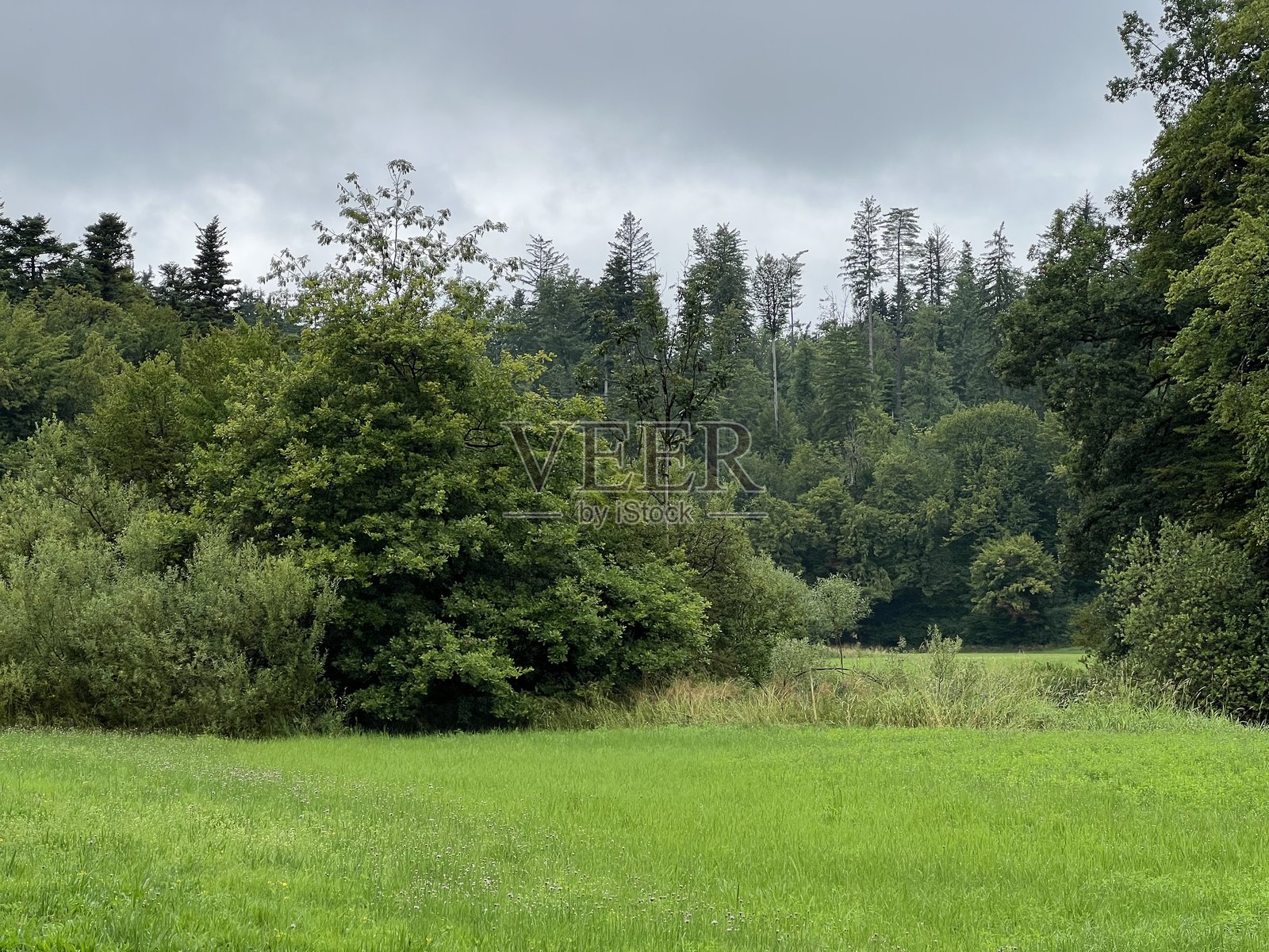 斯洛文尼亚的拉科夫斯科茨扬山谷或拉科夫斯科茨扬景观公园照片摄影图片