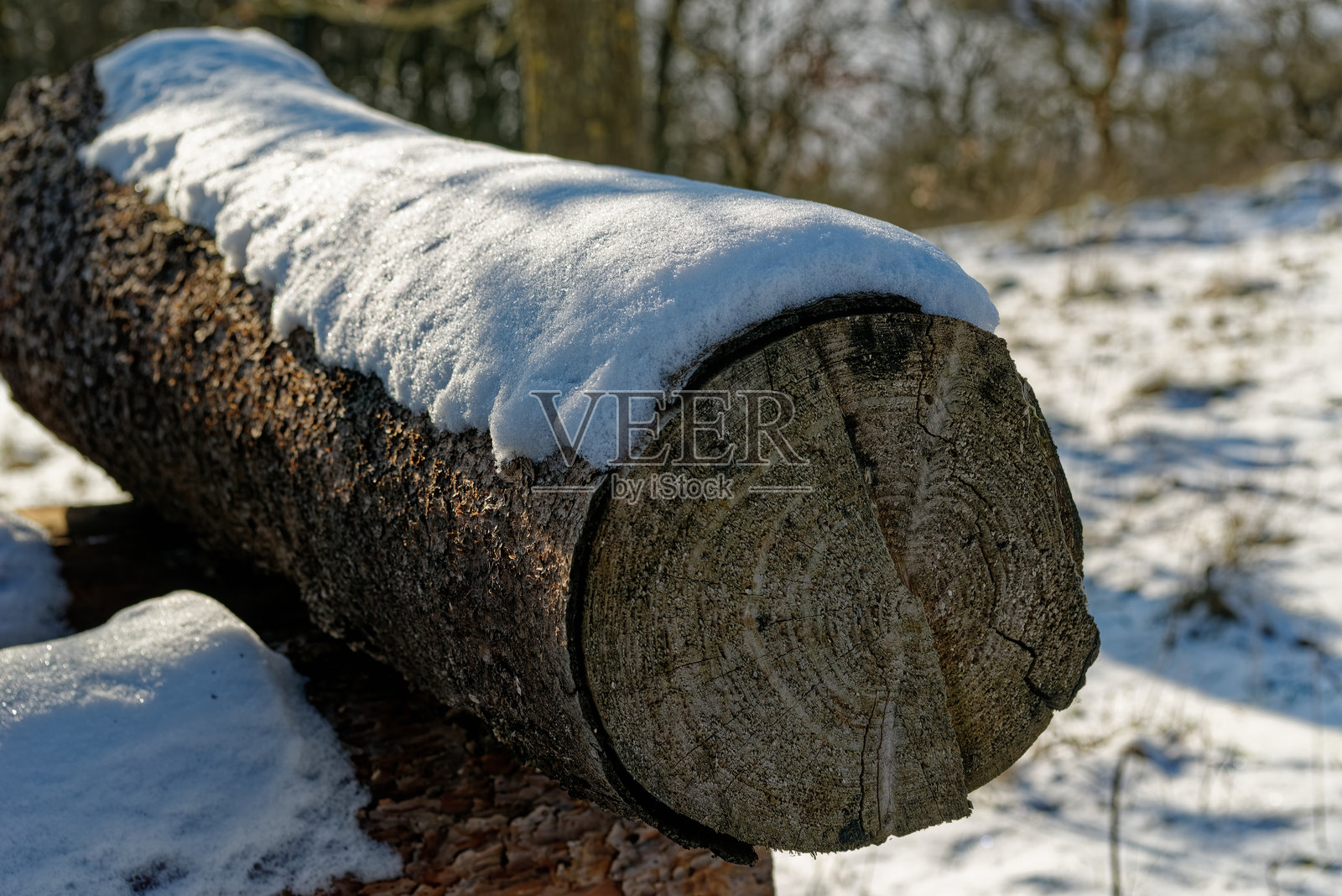 巴伐利亚州被雪覆盖的柴火照片摄影图片