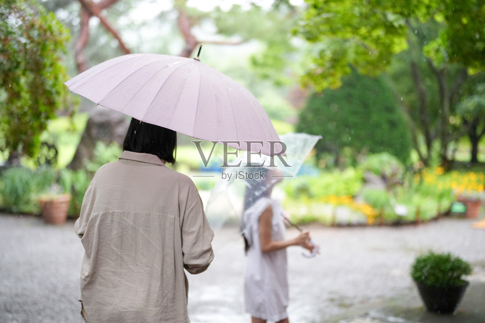 雨中,两位女士正在行走,其中一位打着粉色雨伞照片摄影图片