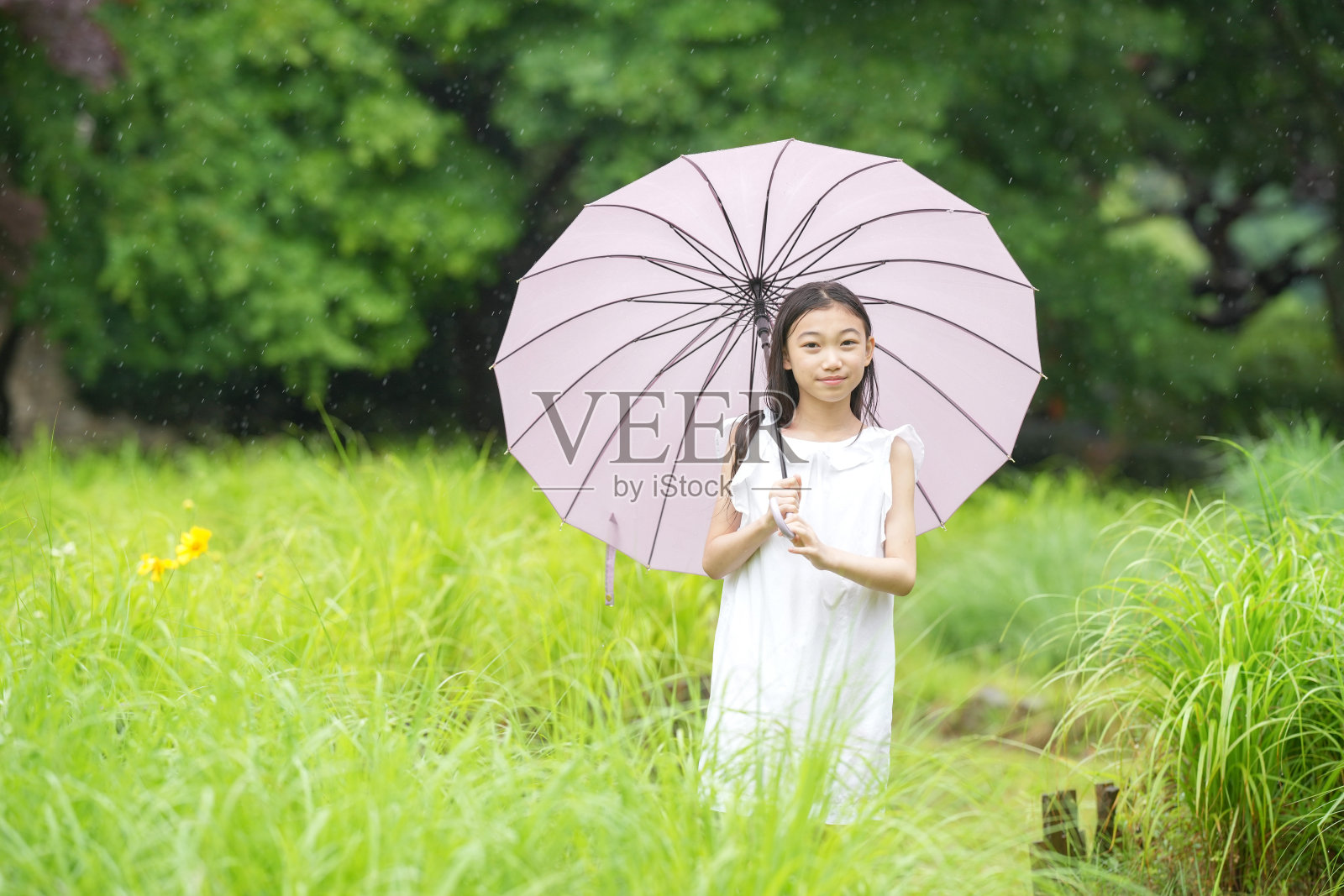 一个小女孩站在田野里,手里拿着一把粉红色的雨伞照片摄影图片