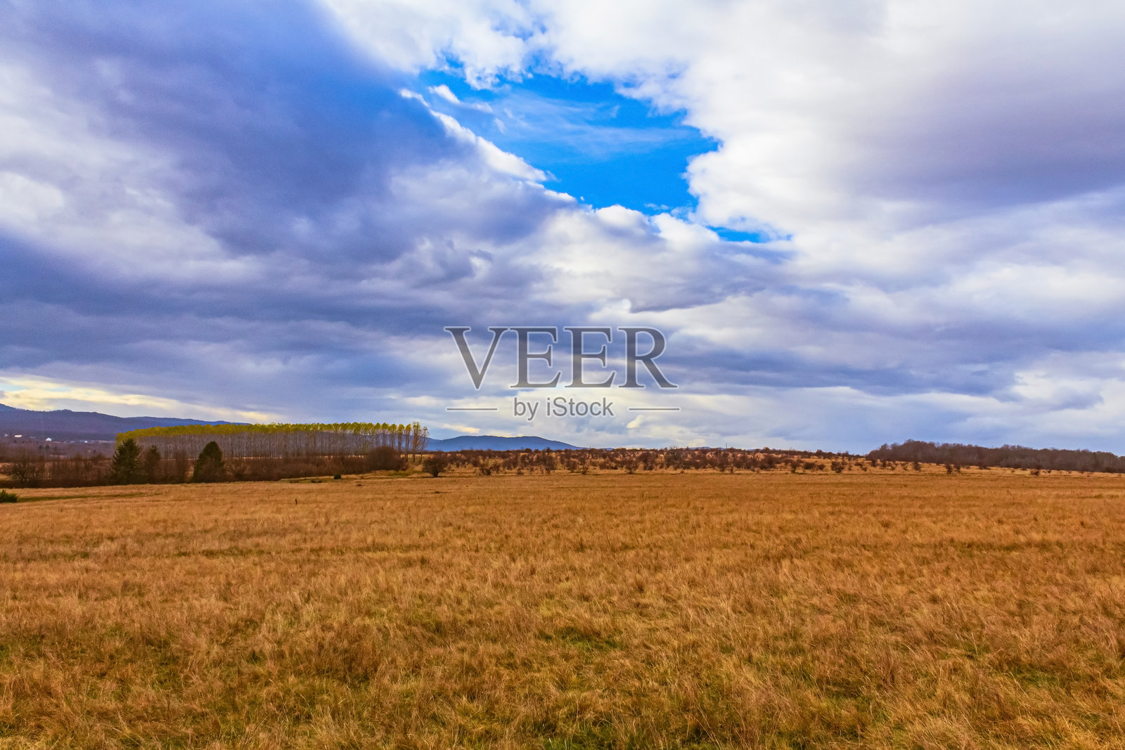 风景,森林,喀尔巴阡山脉,自然风光 - 欧洲,东欧照片摄影图片