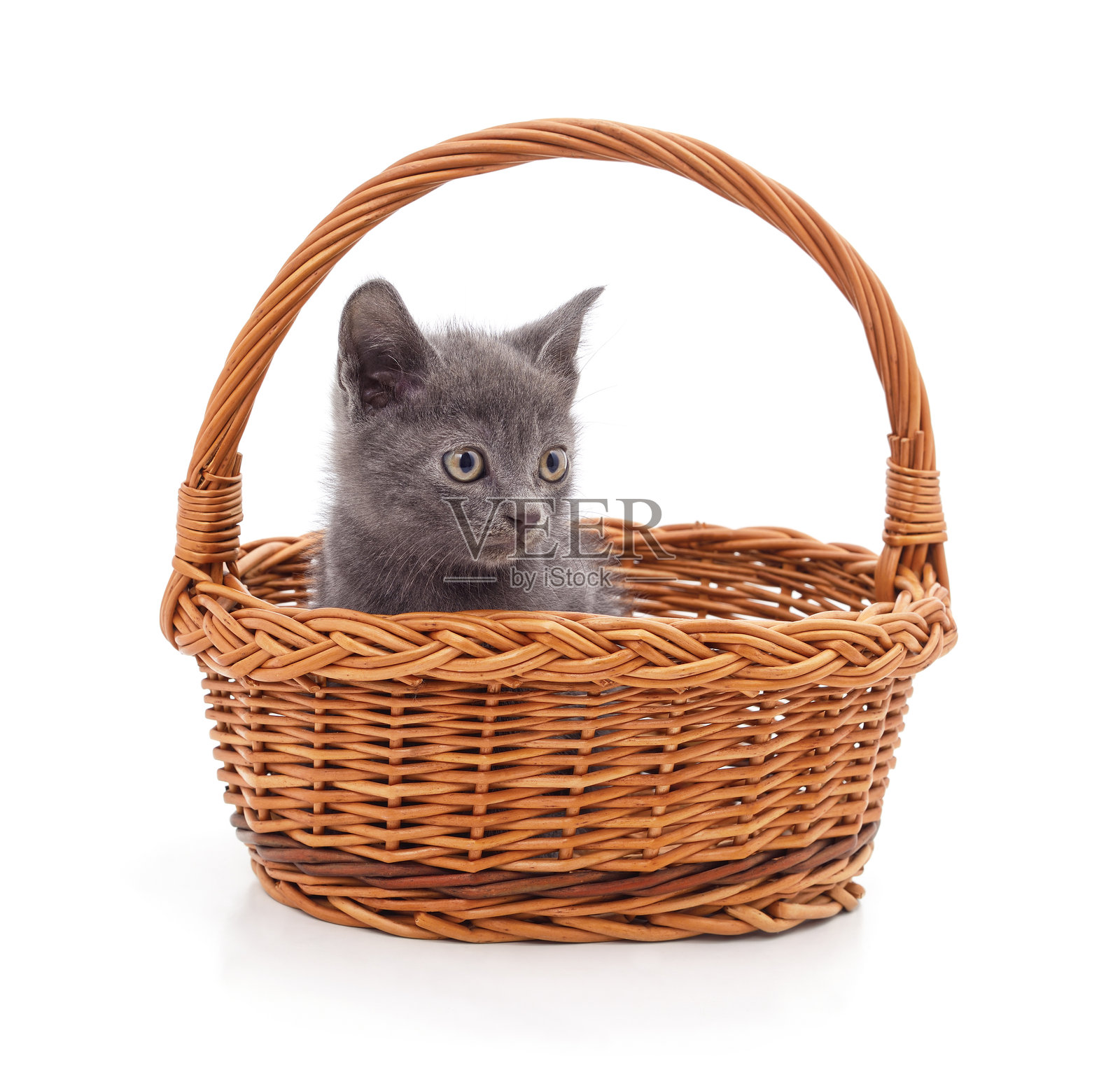 一只灰色的小猫坐在柳条篮里。照片摄影图片