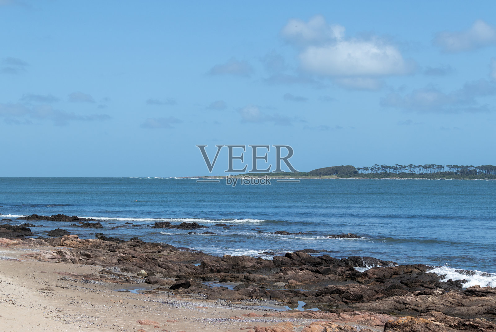 乌拉圭埃斯特角——野生动植物与海岸风光照片摄影图片