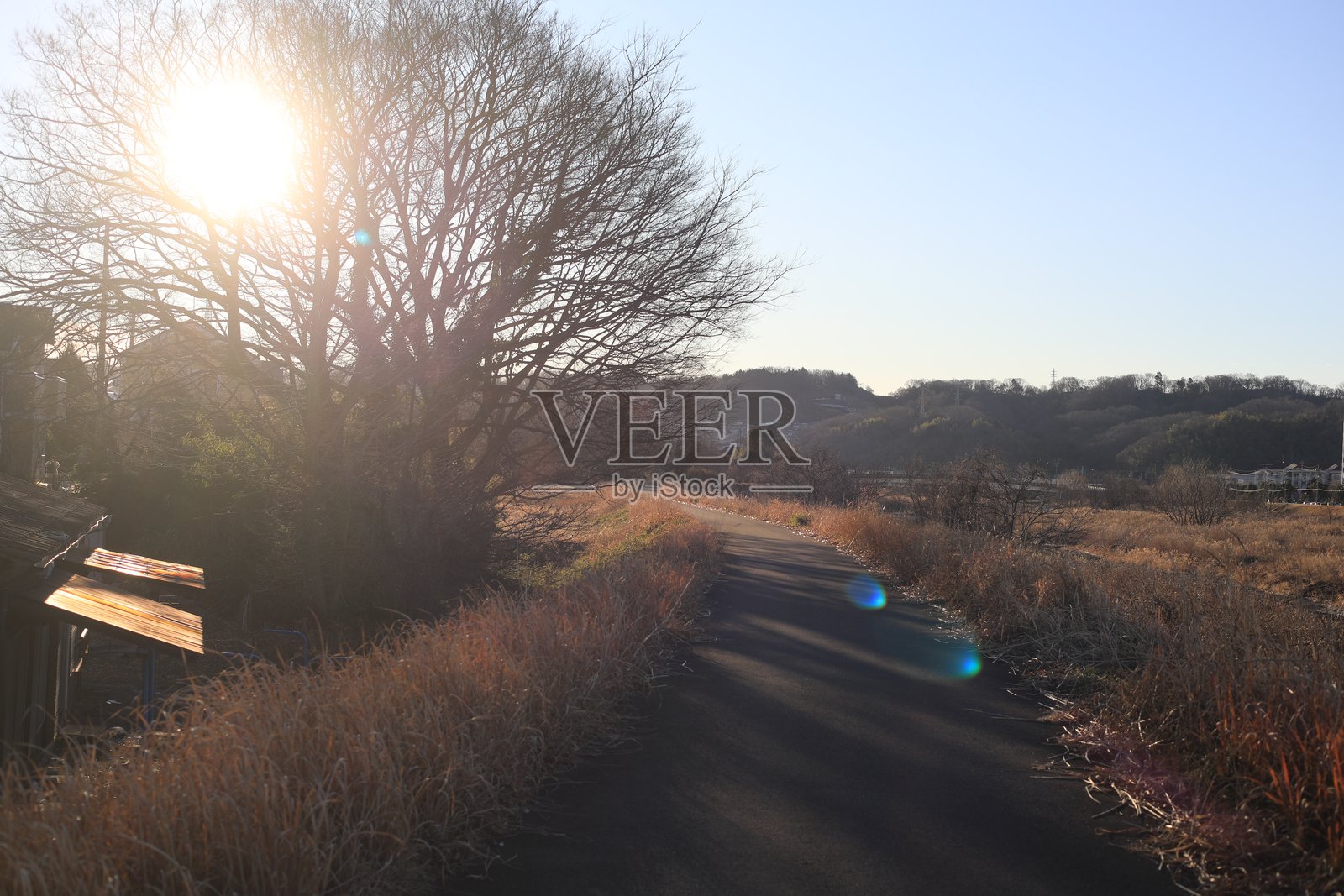 晨光沐浴下的山峦,铺设沥青的步道,冒着蒸汽的渡槽建筑,以及飞翔着白鹭的河流。照片摄影图片