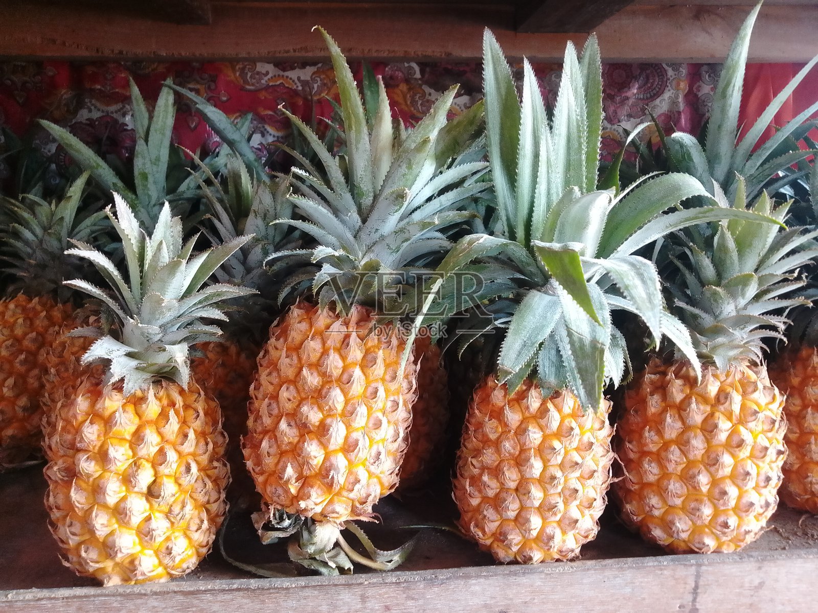 新鲜成熟的菠萝整齐地摆放在木箱中,沐浴在自然光下照片摄影图片