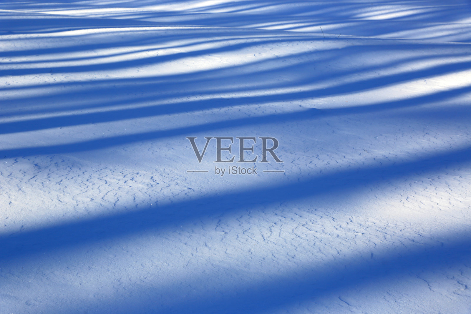 雪地上的蓝色阴影照片摄影图片