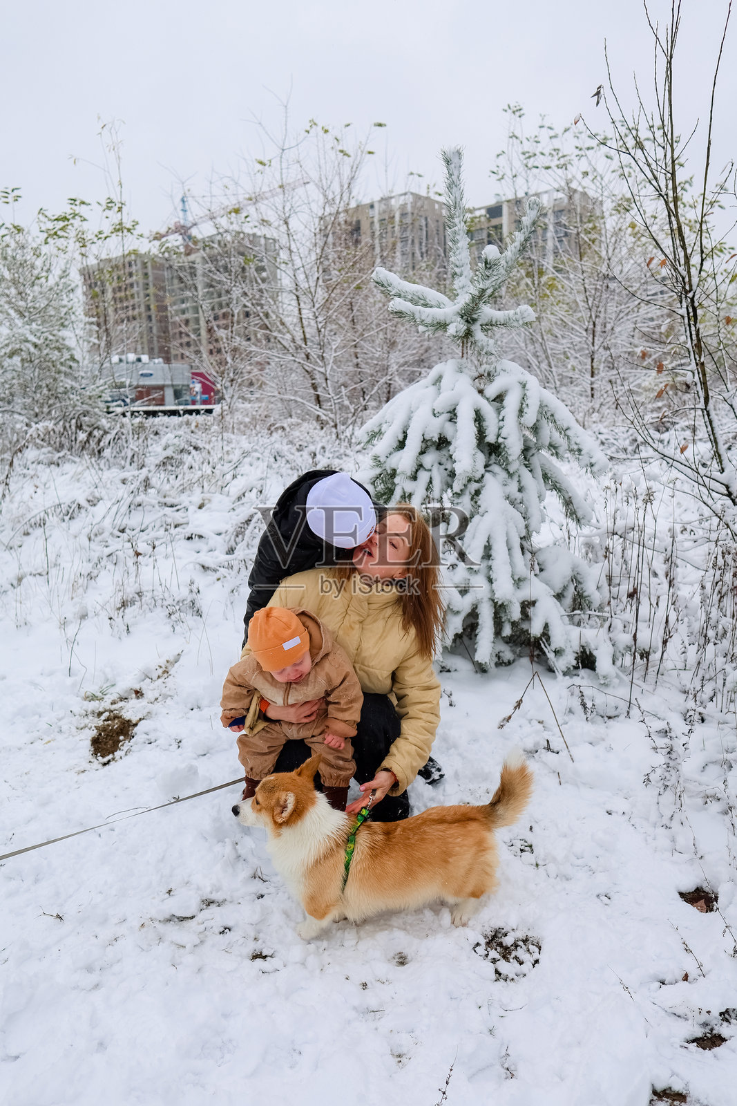 多代同堂的家庭在雪天与柯基犬共度冬日时光照片摄影图片