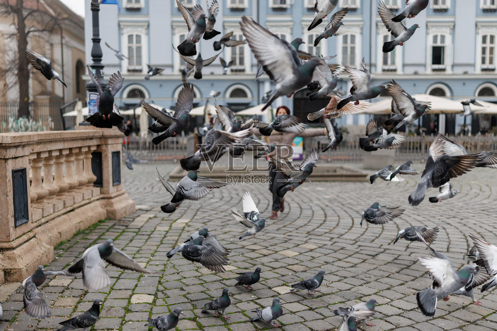一位快乐的中年女性在老城广场上与鸽子一同漫步和旋转照片摄影图片