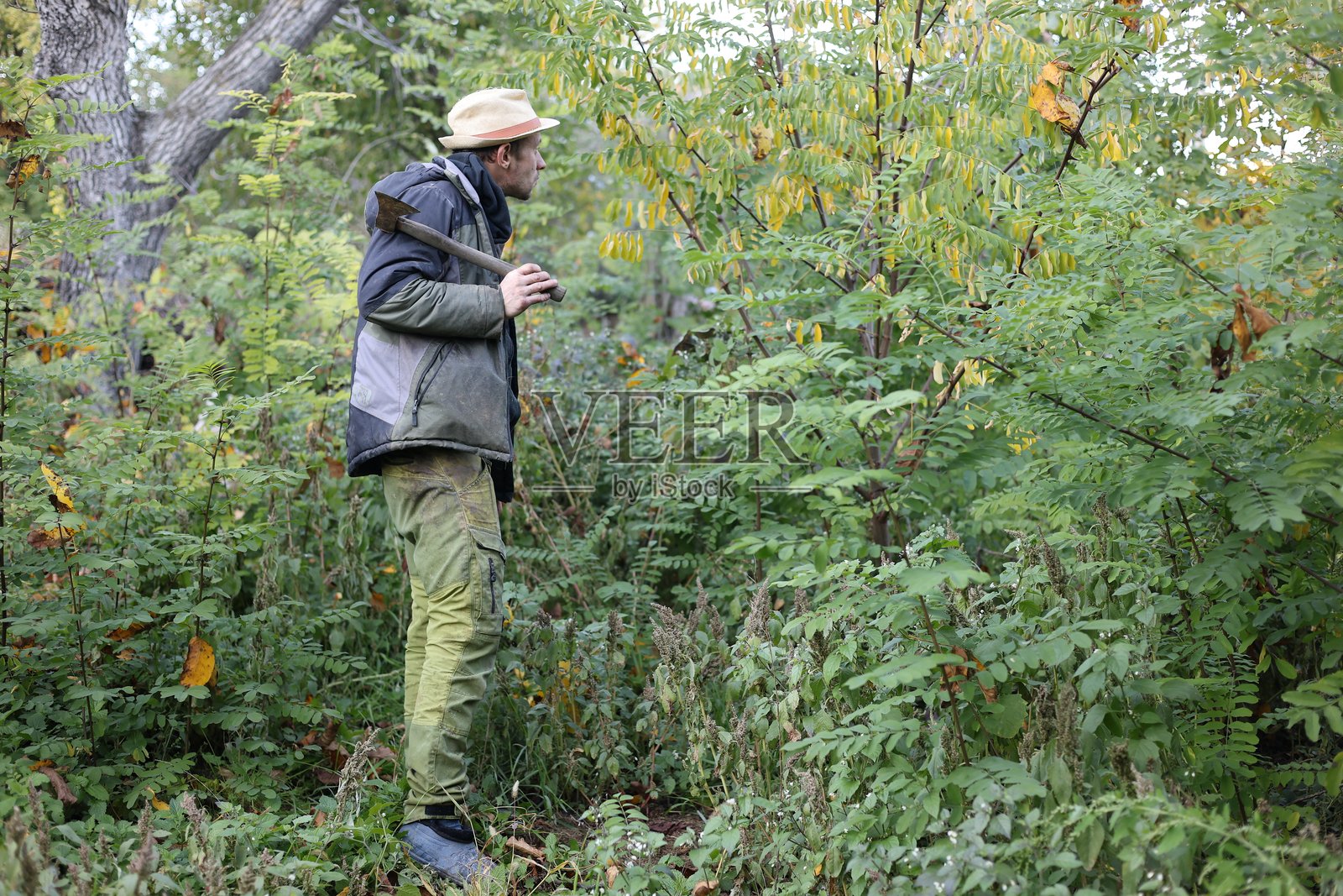 男人在自家花园里用斧头劈柴照片摄影图片