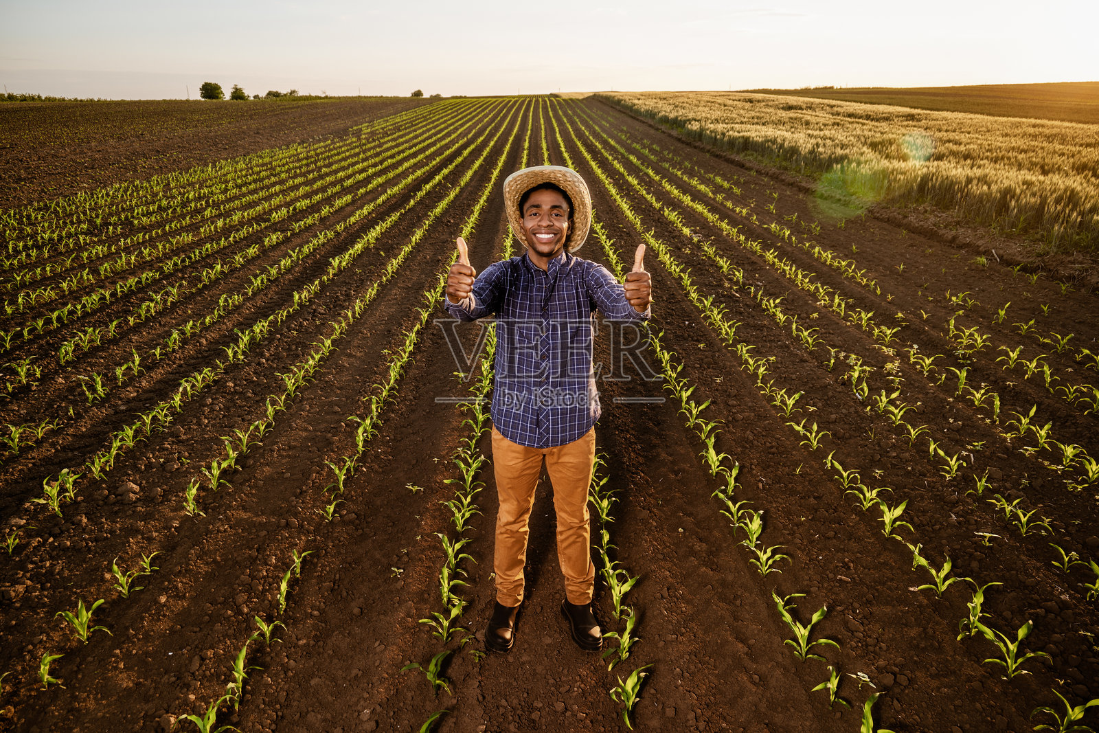 农民在他的农田里照片摄影图片