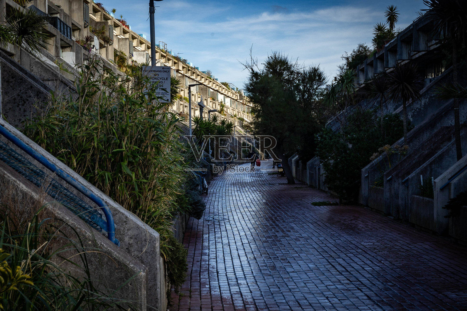 罗利路庄园 48 周年照片摄影图片