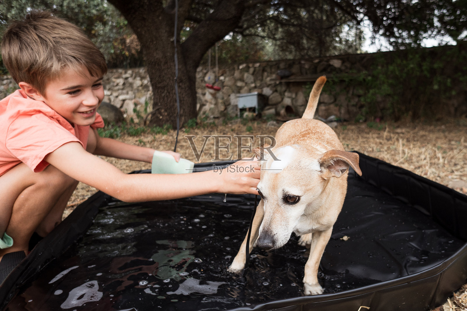 男孩在户外浴缸里高兴地给他的狗洗澡照片摄影图片