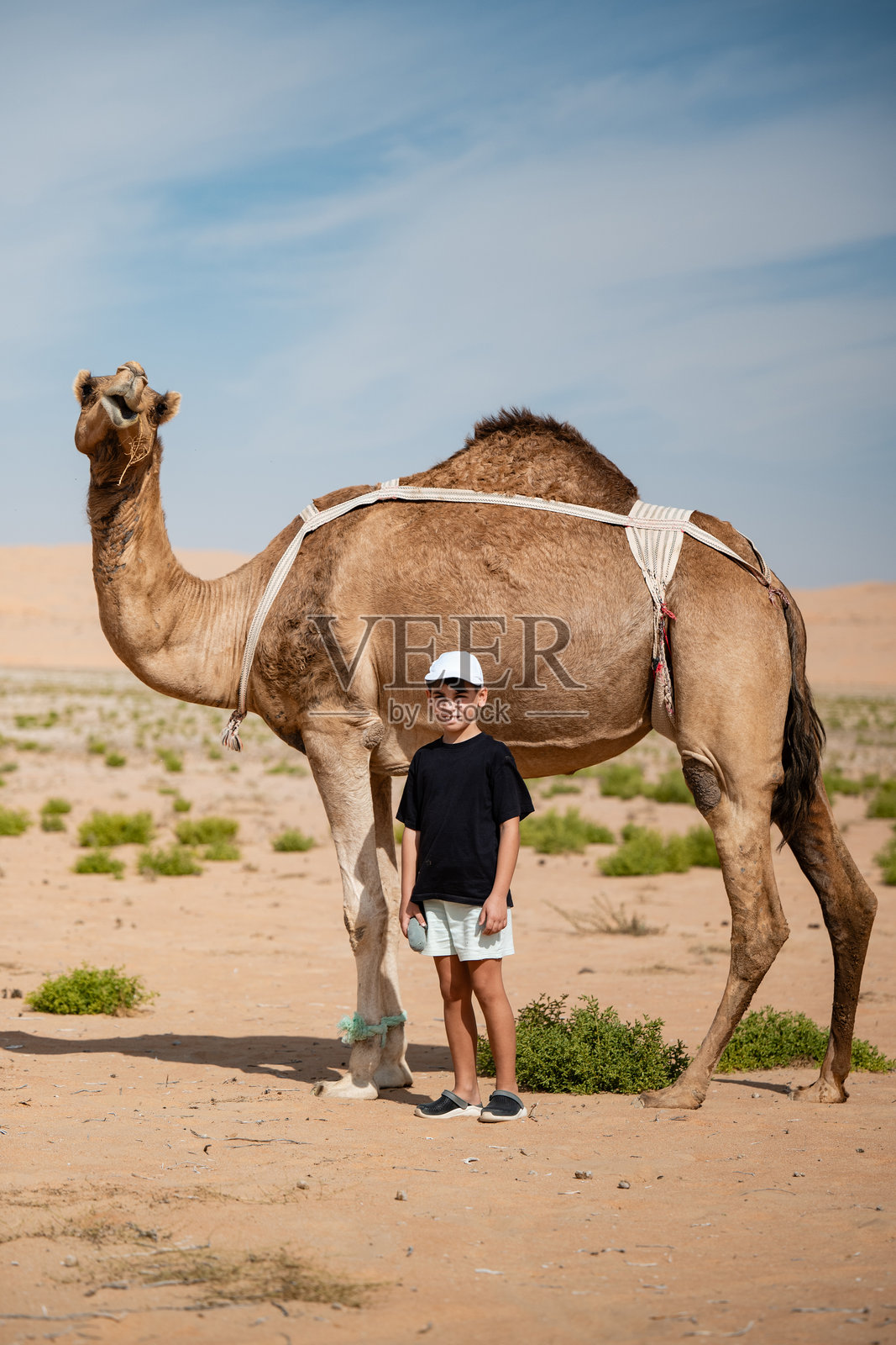 男孩在沙漠景观中与骆驼合影照片摄影图片