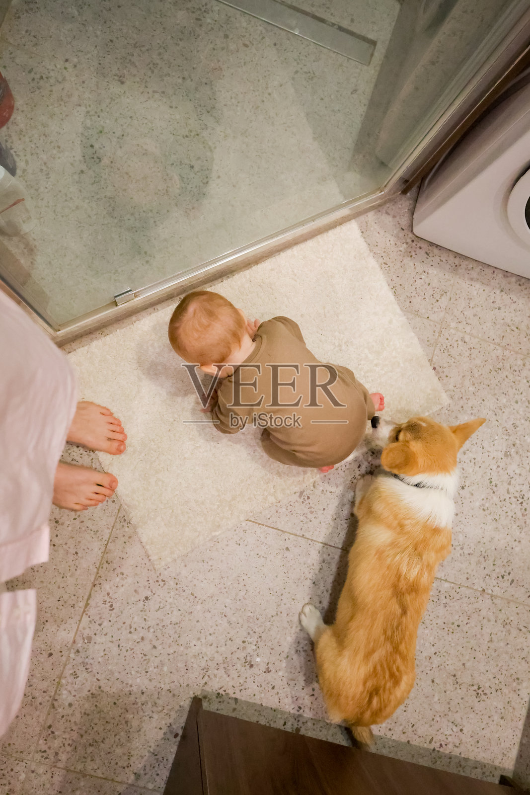 婴儿和柯基犬在洗衣房照片摄影图片