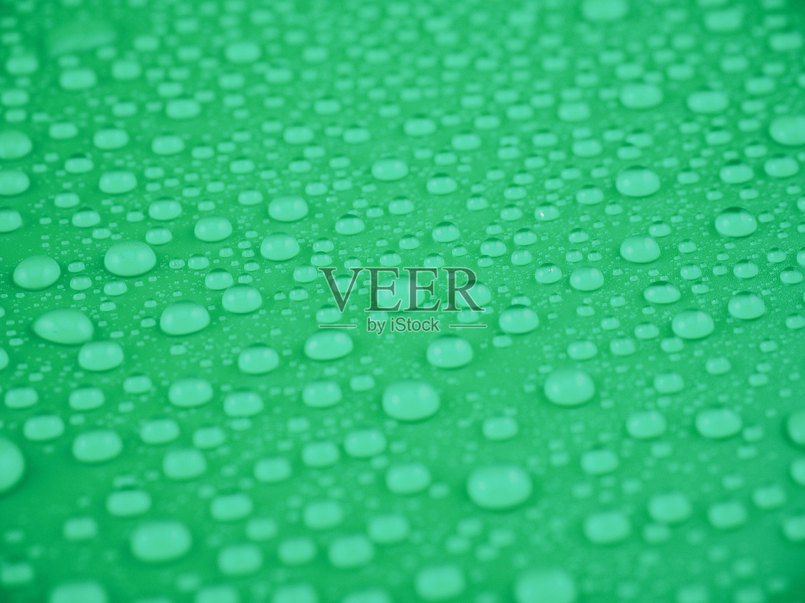 水滴特写照片摄影图片