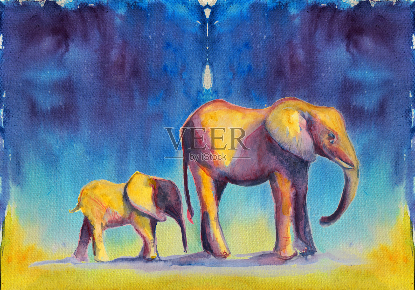 靛蓝色背景下的大象和象宝宝插画图片素材