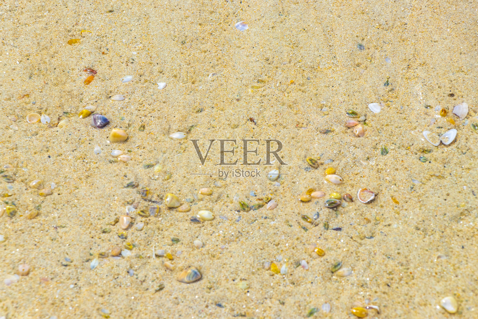 泰国海滩的沙子,带有卵石、彩色贝壳和水纹纹理。照片摄影图片