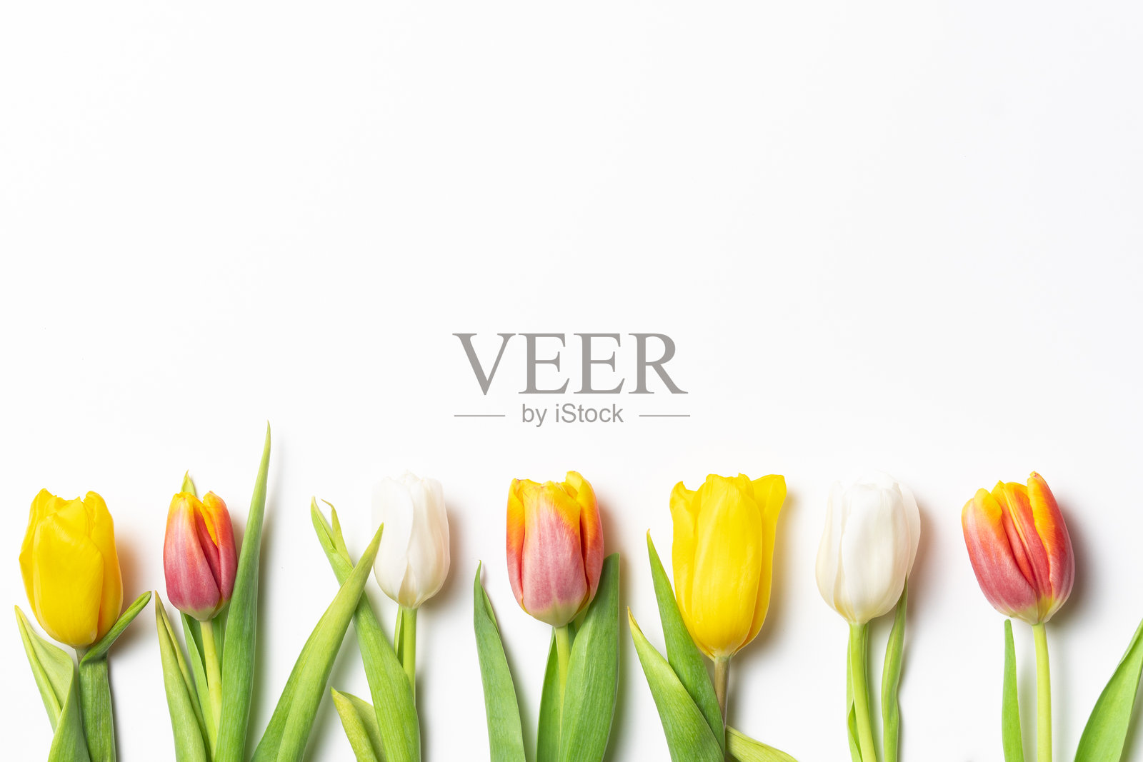 复活节照片摄影图片