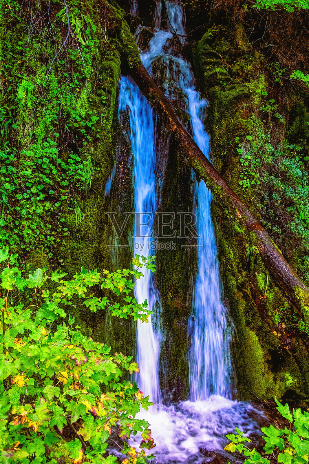 阿根廷火地岛国家公园森林中的马卡雷纳瀑布照片摄影图片