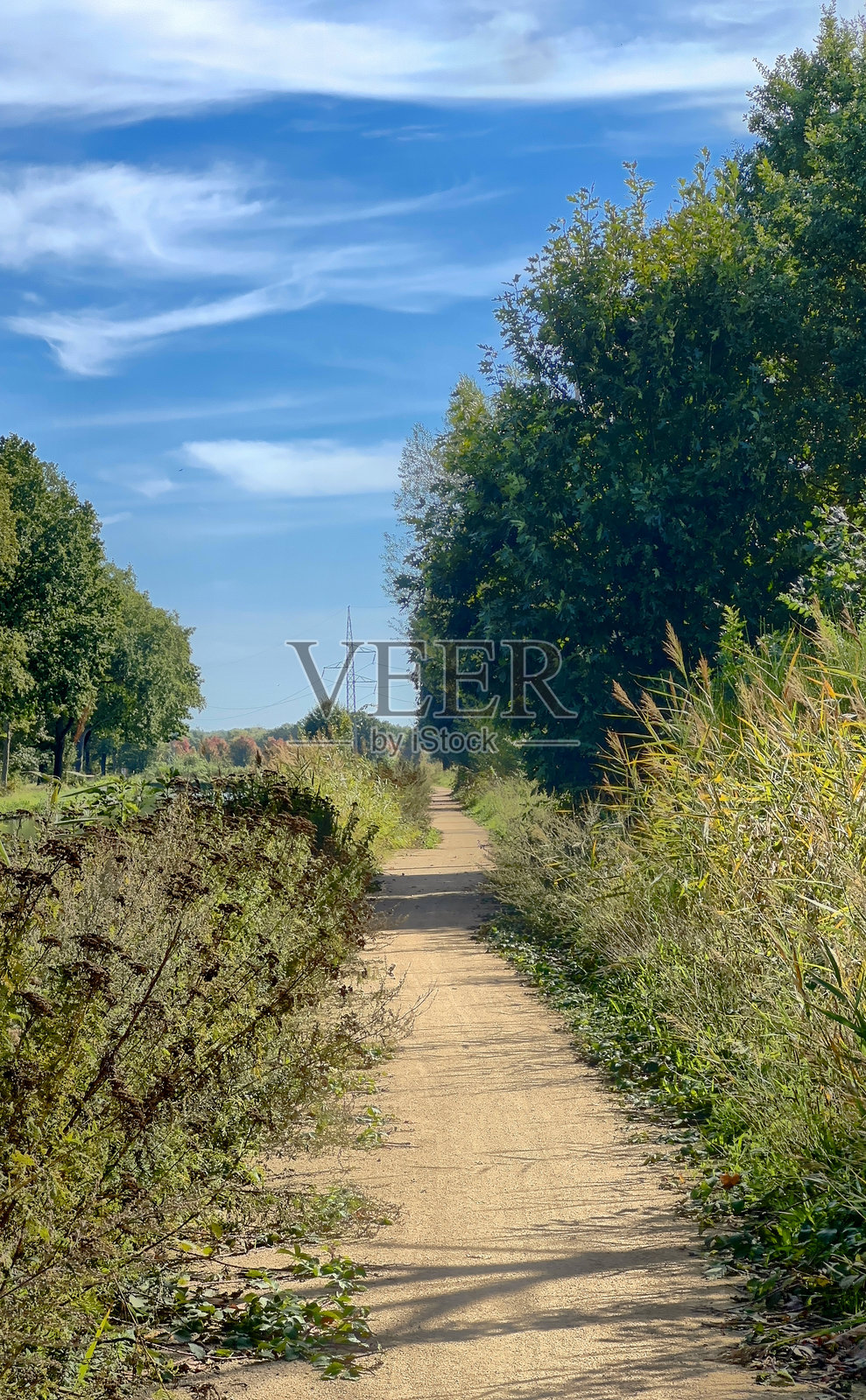 宁静的乡村小路,两旁是绿树篱笆和温柔的云朵照片摄影图片