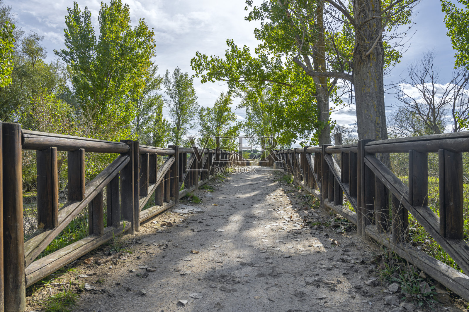 近距离特写展示了金属原木底部附近苔藓和地衣的生长,它们见证了时间的流逝照片摄影图片