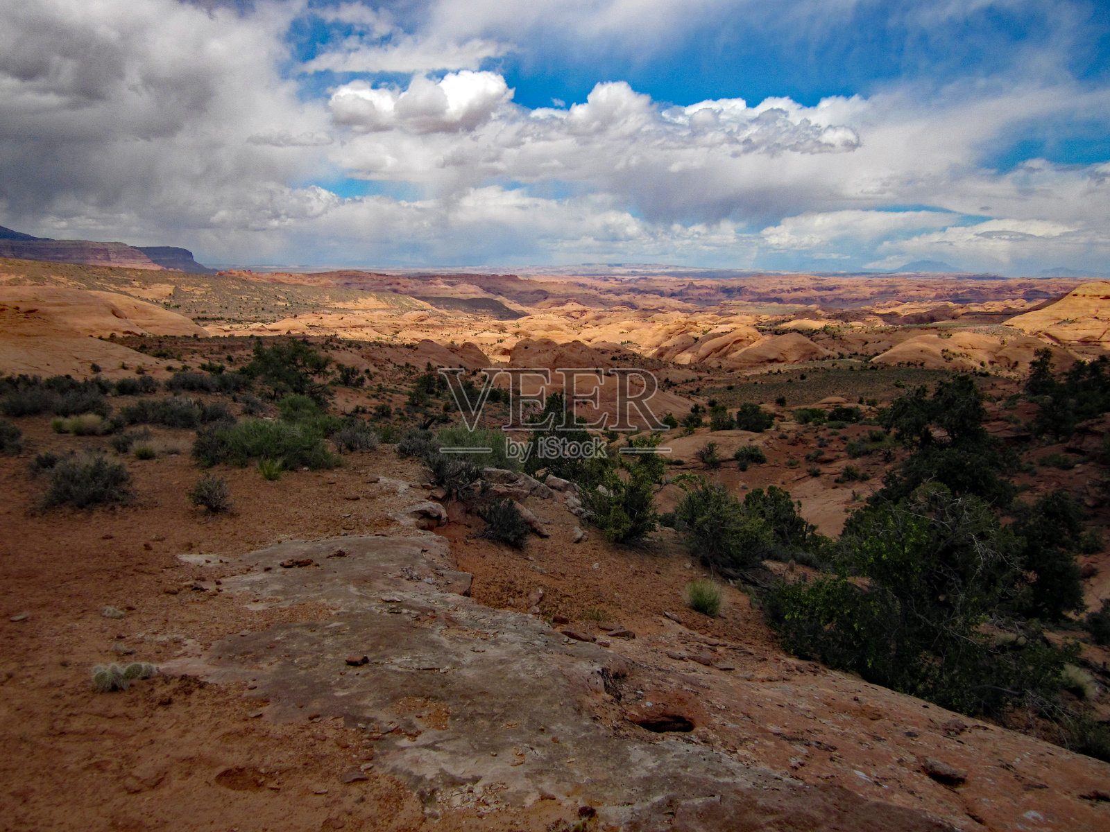 可扩展托盘照片摄影图片