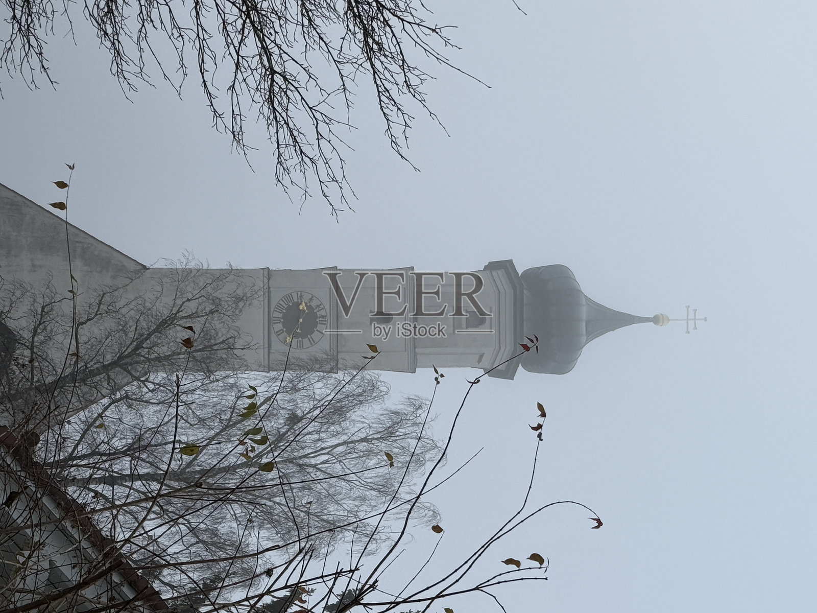 霜照片摄影图片